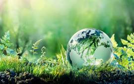 Globe terrestre en verre posé sur un sol forestier luxuriant, entouré de jeunes pousses vertes, symbolisant la tendance croissante des goodies écoresponsables en 2024